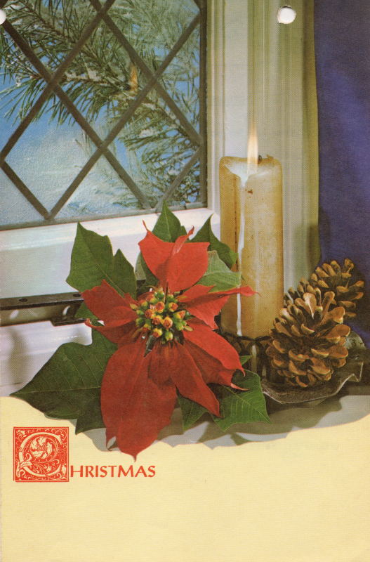 Cover with a picture of a pointsetta, candle, and pinecone in front of a window looking out at a snowy scene and a pine tree branch