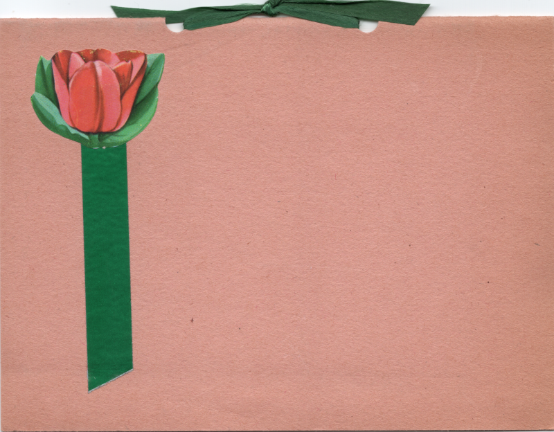 Cover with an illustration of a rose