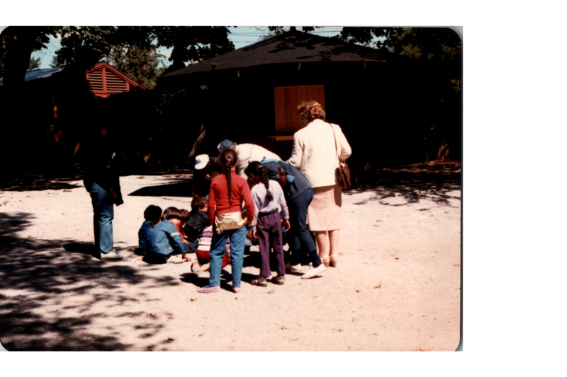 A group pets an animal at the zoo
