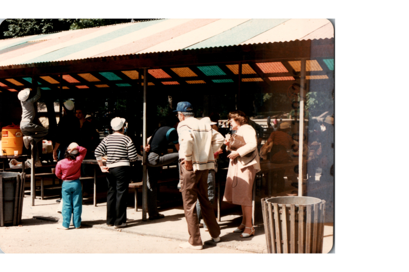 A group gathers at picnic tables at the zoo