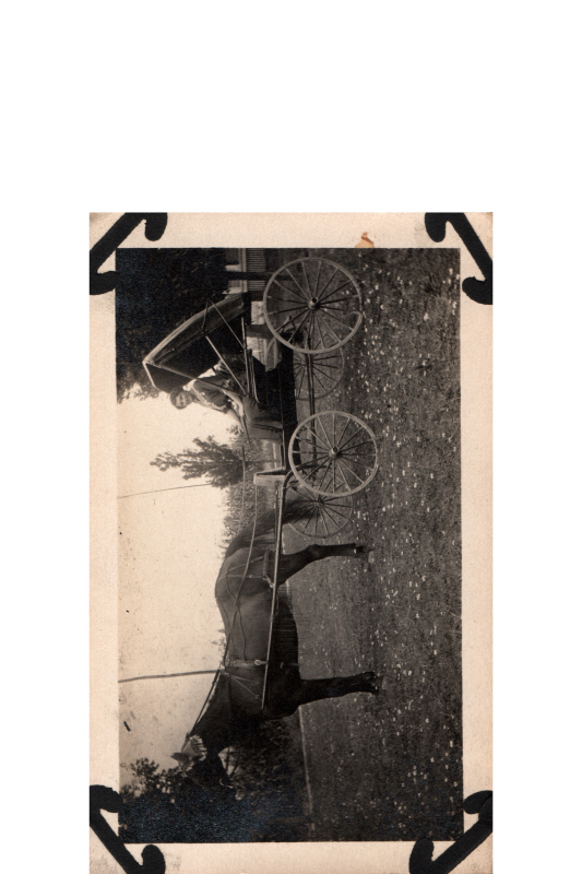 A woman smiles in a horse-drawn carriage
