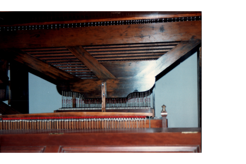 Organ