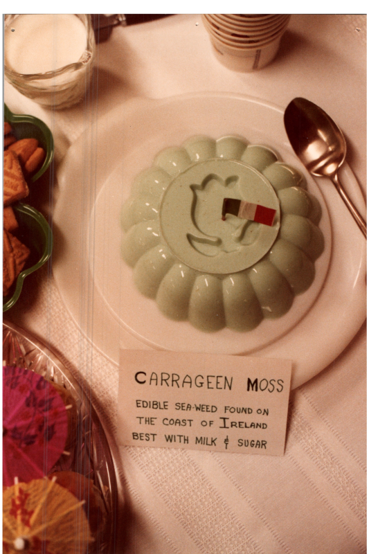 Carrageen Moss dish: "Edible sea-weed found of the coast of Ireland, Best with milk and sugar"