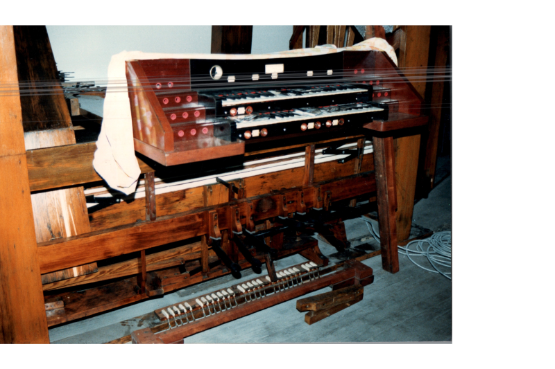 Organ